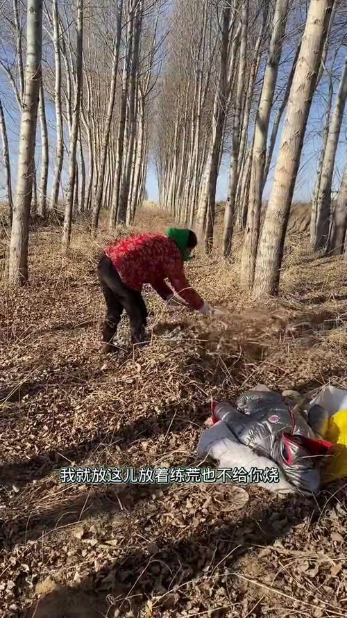 我的乡村生活最新版本特色玩法：不一样的乡村体验