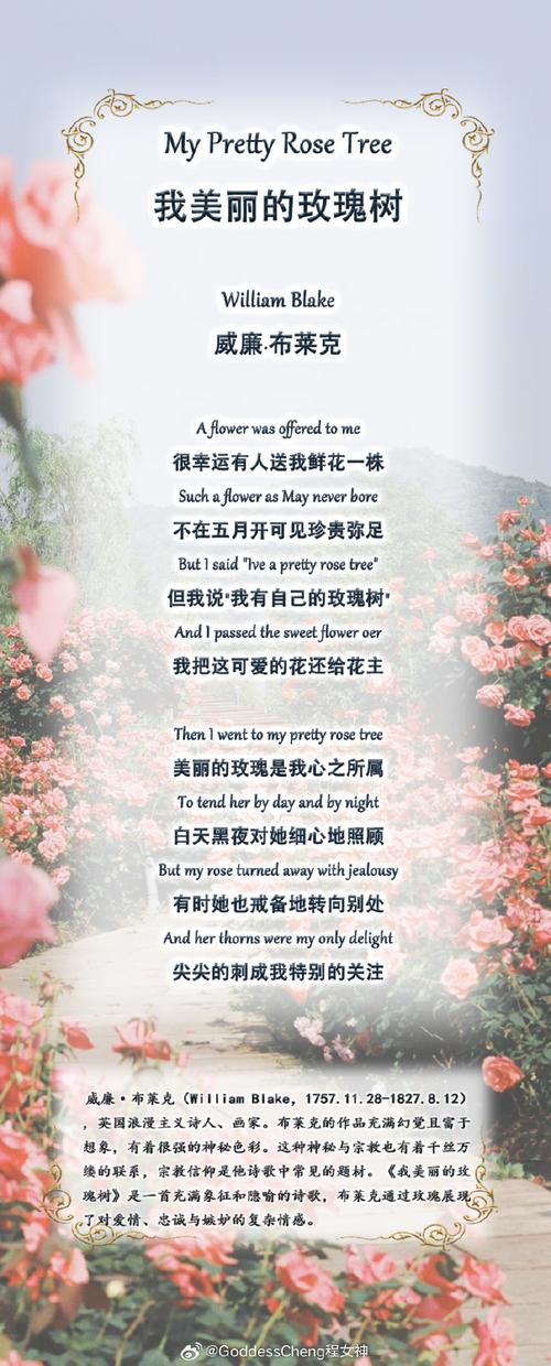 厚颜无耻的十四行诗游戏下载地址：体验不一样的诗歌世界