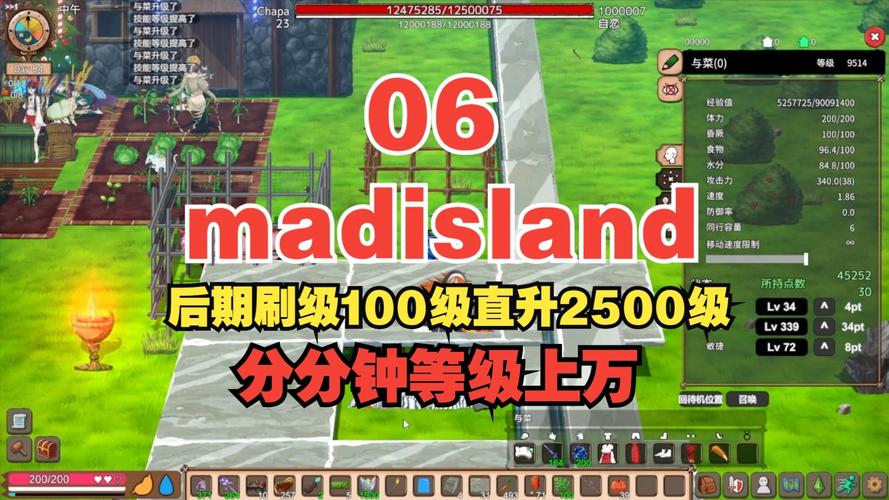 MadIsland最新攻略:生存技巧大公开,助你轻松通关