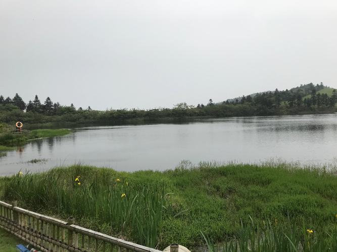 想玩小绿山内有海阁最新版?注意这些下载陷阱!