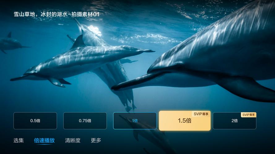 百度网盘下载第三次危机安卓版，免广告，轻松畅玩！