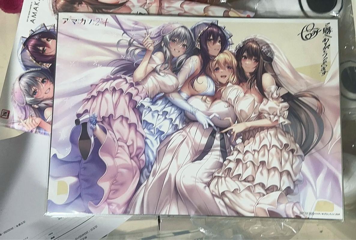 二次元老婆学院绅士游戏:超多老婆等你养成!