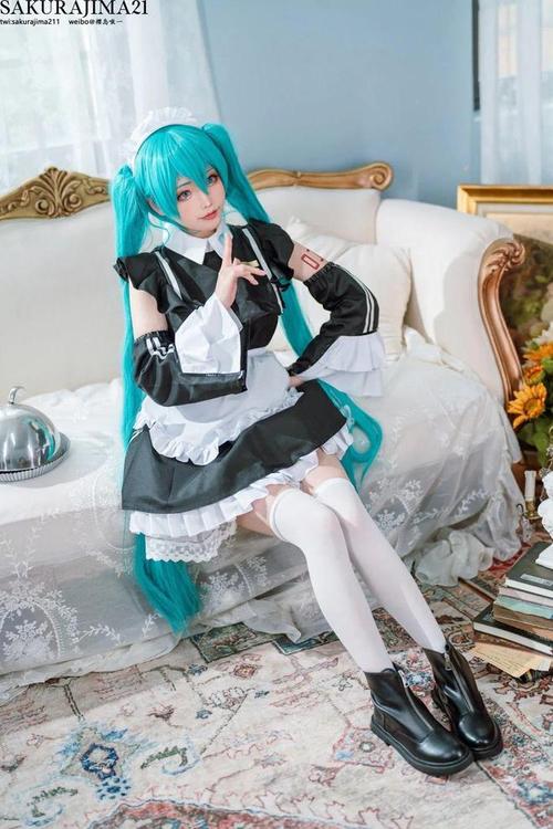 coser1资源下载方法详解：小白也能轻松下载！