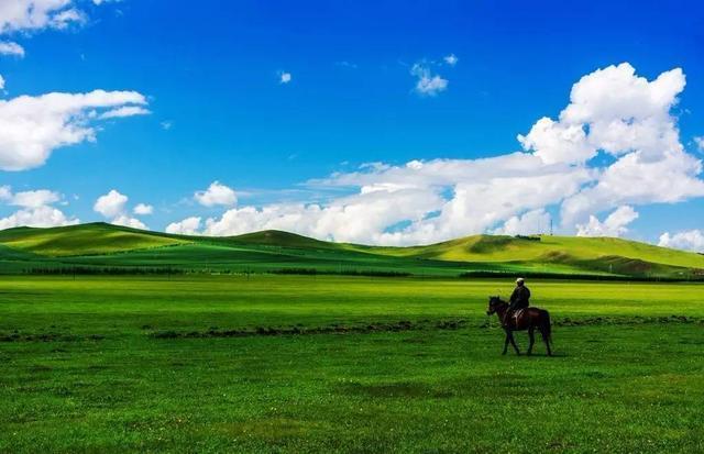 寻找欲之冠版本大全:资源分享,一网打尽所有版本