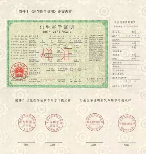 出生证明官方正式版下载最新版,免注册直接下载