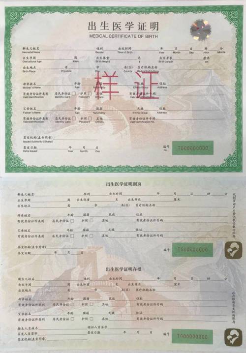 出生证明游戏攻略:超详细玩法指南,小白也能玩