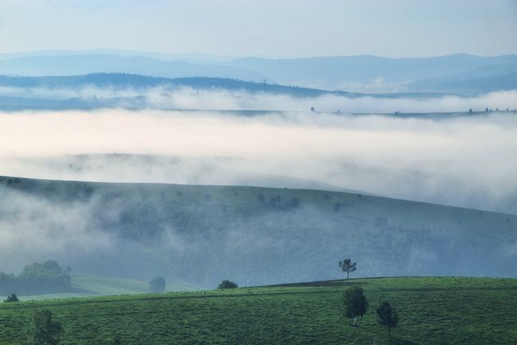 青青草原下载地址大全,找到你想要的版本!