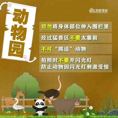 蓝宝石野生动物园安卓游戏下载,开启你的动物园之旅!