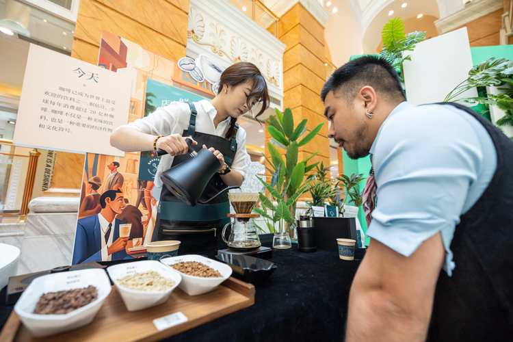 加藤的新生活游戏详解：体验不一样的都市生活