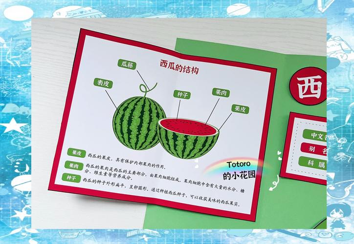 寻找夏日的宝物:全版本资源合集,轻松找到你想要的!