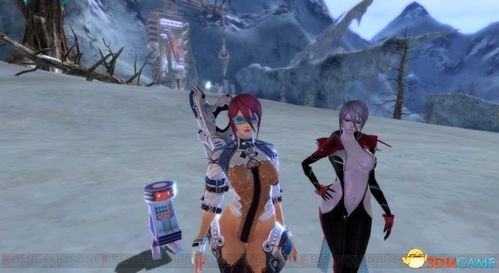 欢迎来到后宫岛游戏下载:轻松休闲养成,与美女互动乐趣多!