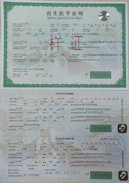 出生证明官方正式版下载最新版,免注册直接下载