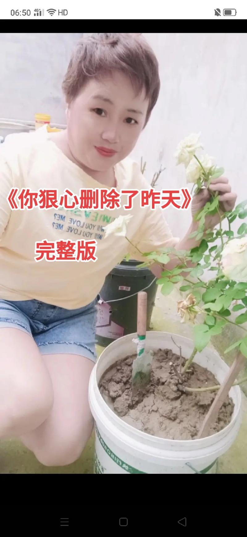 妹妹的夏日生活最新故事:讲述妹妹难忘的夏日回忆