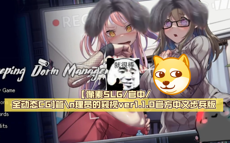 管理员的窥视在哪下载?超详细下载教程分享!