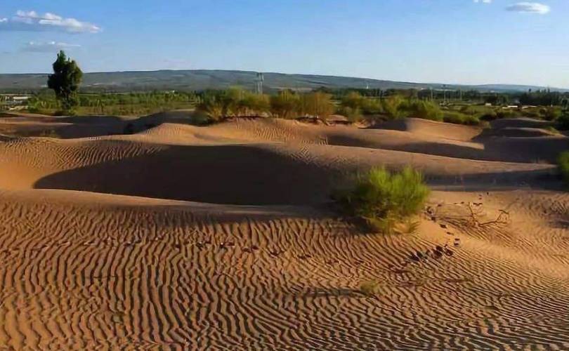 最全最后绿洲下载地址合集，告别下载难题