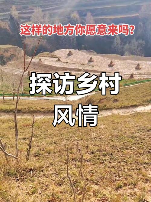 我的乡村生活最新版本特色玩法：不一样的乡村体验