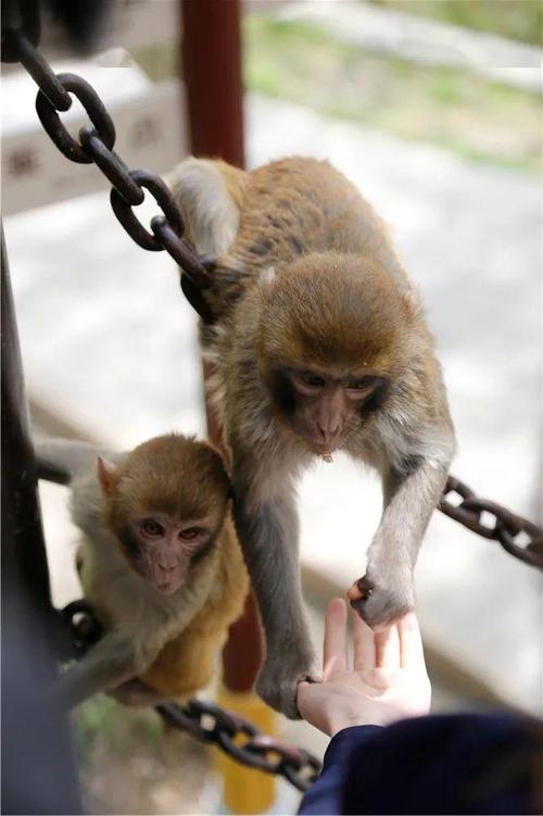最新消息:好色搭档抢走心仪孩子,事件全过程