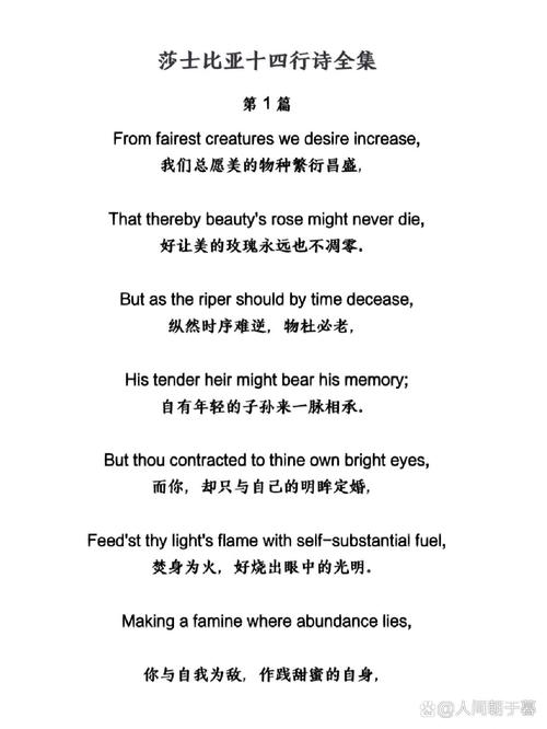 厚颜无耻的十四行诗游戏官网：体验不一样的文字冒险之旅