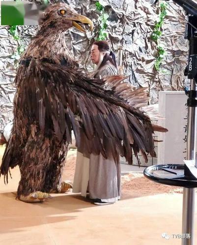 如何在上古卷轴5中扮演杨过?