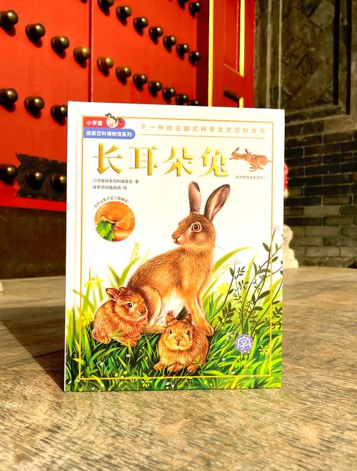 兔兔秘密花园游戏介绍：带你走进神秘的兔子乐园