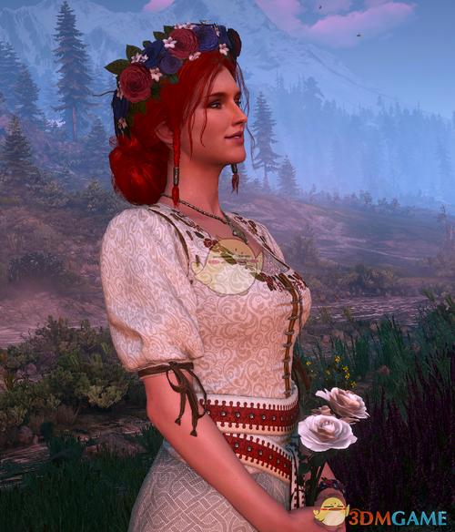 巫师3狂猎绅士魔改版下载:玩家自制MOD推荐