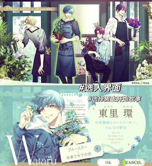 NTR伴侣村淫习游戏下载：超刺激的恋爱冒险