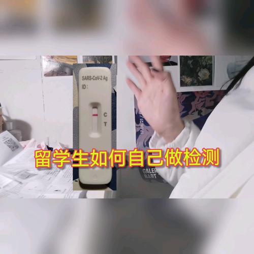 室友1.3下载步骤及注意事项,玩游戏更安心!