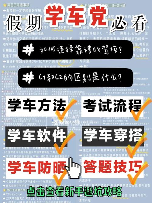 姐姐别追我游戏攻略:高玩进阶技巧与心得分享