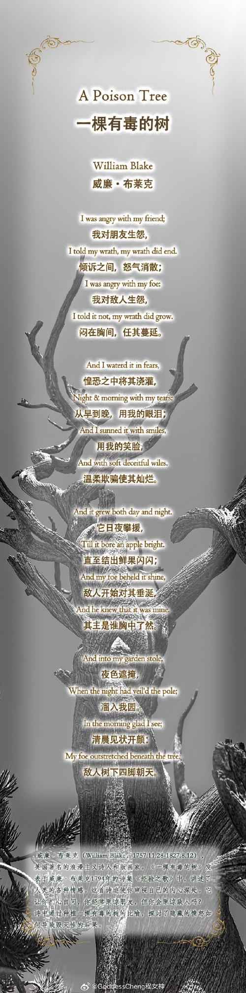 厚颜无耻的十四行诗游戏下载地址：体验不一样的诗歌世界