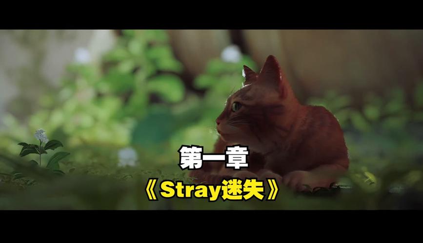 迷失在月下?40部游戏版本深度解析与推荐