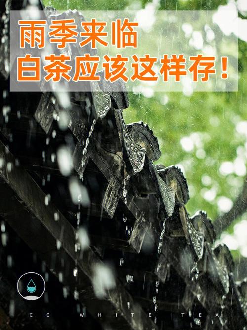 雨季来临，歌曲下载方法全攻略！