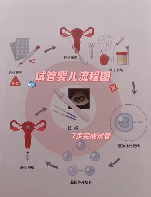 援助妊娠学院3.1下载方法详解:简单易懂步骤