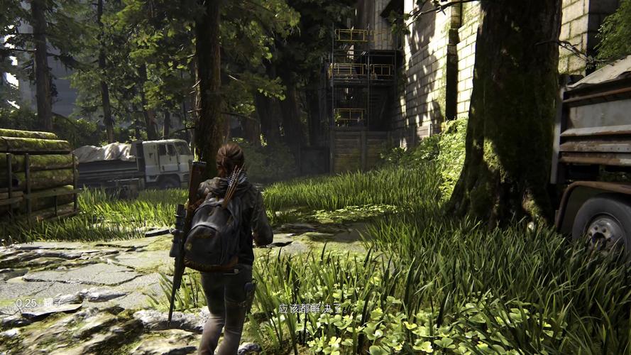 最后的生还者2游戏官网：IGN满分力作，不容错过