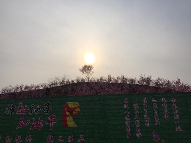 想玩桃花境？教你快速找到下载地址和方法！