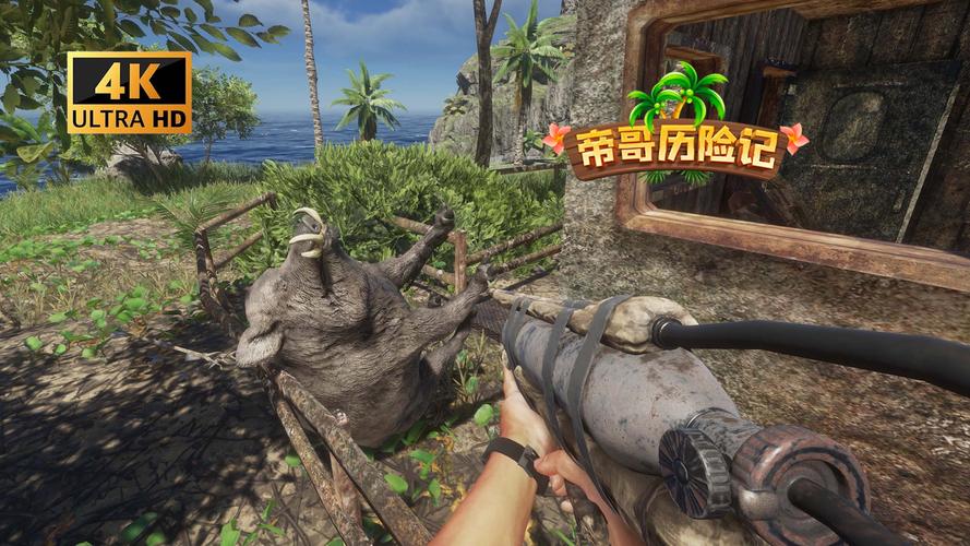 荒岛X求生游戏详解:挑战与成就感并存的冒险