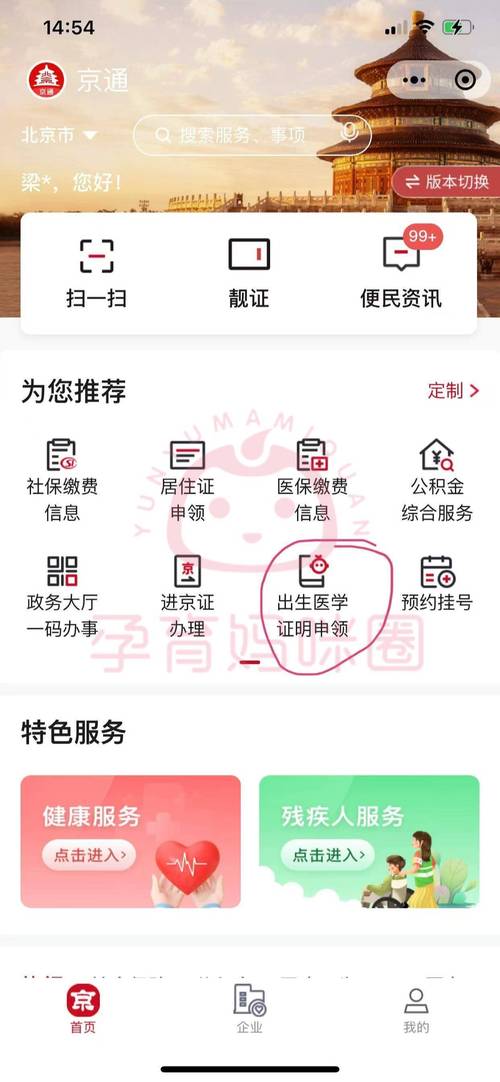 出生证明游戏攻略:超详细玩法指南,小白也能玩