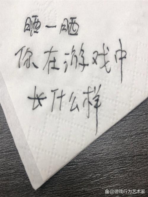 玩转高等社会：完整游戏攻略及技巧分享