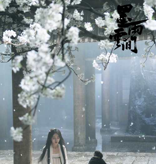 日本新起点：内有小羊官网带你玩转日本市场