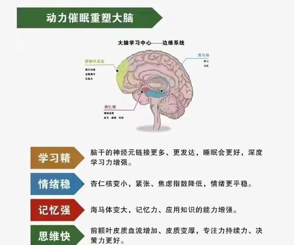 催眠班级官网:学习压力大?试试催眠疗法,轻松应对