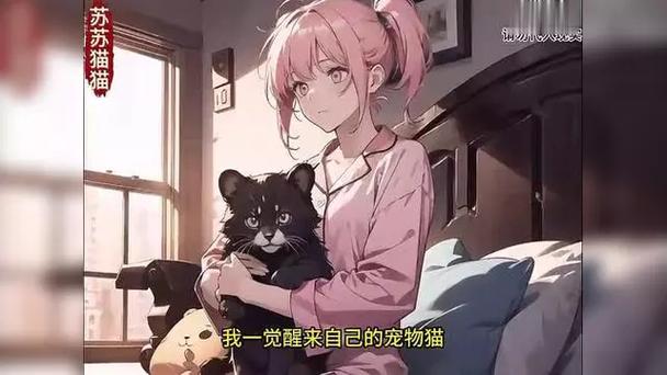 捡到千年猫游戏攻略:如何快速提升猫娘好感度