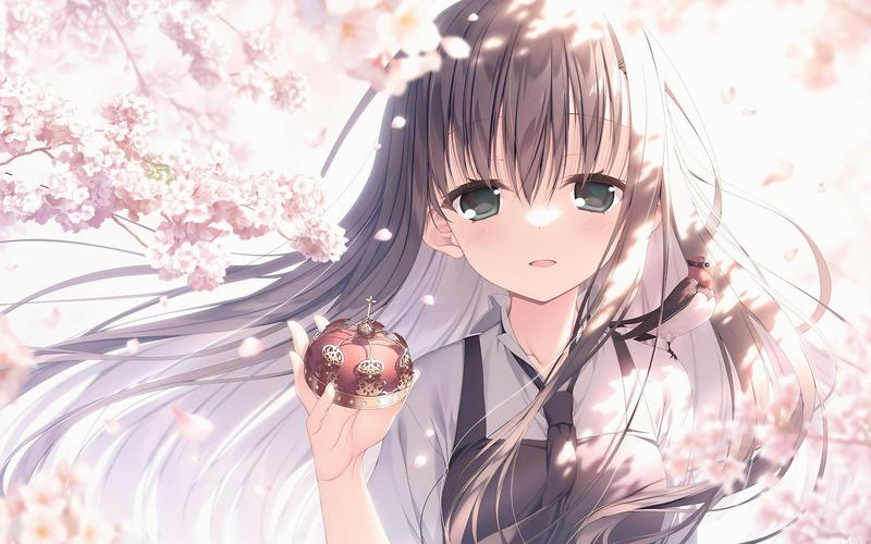 樱之刻汉化版更新内容一览:剧情CG全面提升