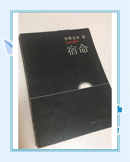 安卓汉化宿命论2.0:命运的解读与预测