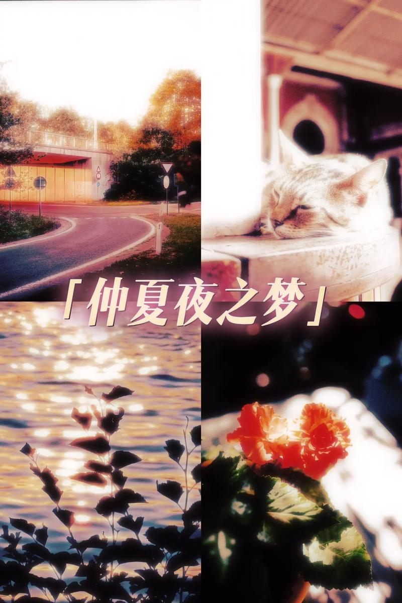 仲夏夜之梦汉化版最新更新:有哪些新内容?