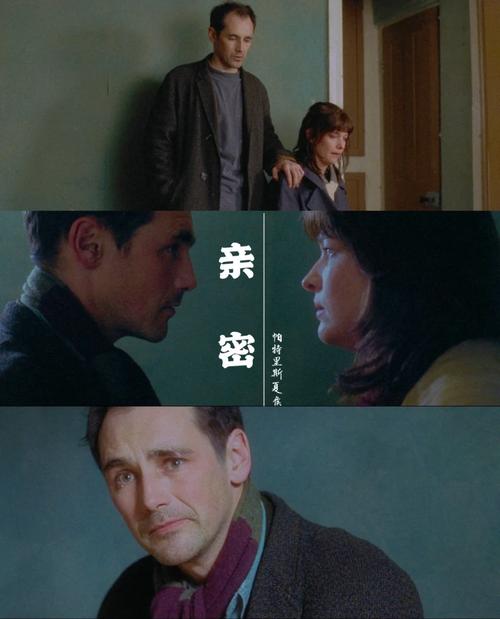 亲密接触版本大全：高清、完整版资源免费分享