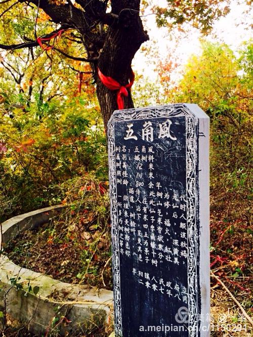 枫之恋下载地址汇总：避免病毒陷阱的下载指南