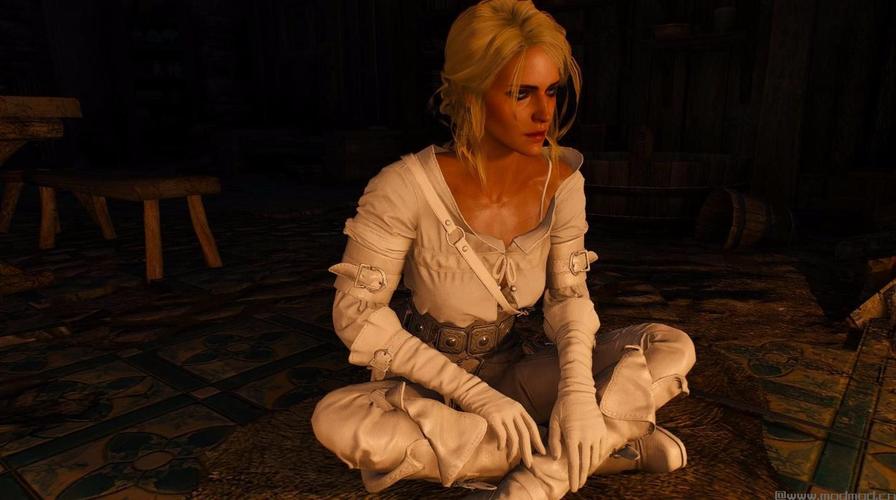 巫师3狂猎绅士魔改版下载:玩家自制MOD推荐