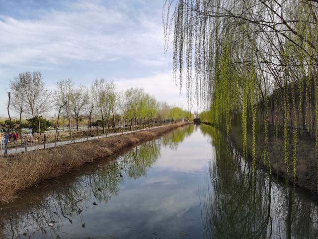 寻找激情公园?这里有你想要的全部版本!