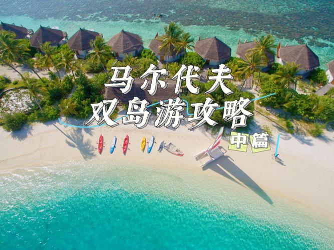 Nekotto岛岛版大全：哪个版本最好玩？