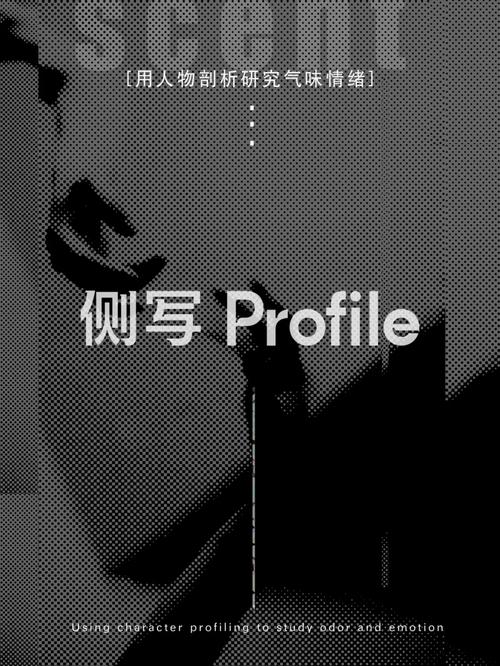 想玩侧写者？教你轻松下载安装，完整步骤教学