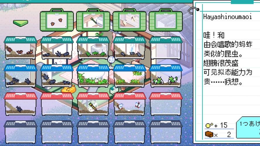 寻找夏日的宝物:全版本资源合集,轻松找到你想要的!